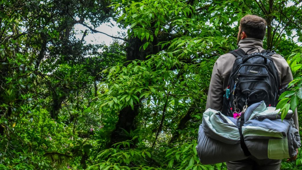a man carrying backpacks in the forest 