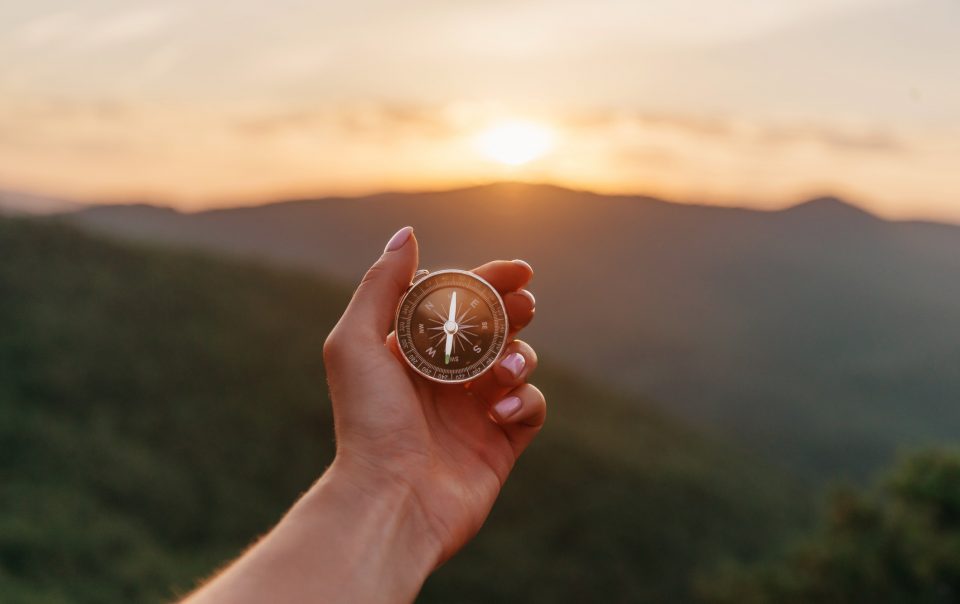 Understanding and Finding Purpose